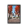 Chicago Autumn Path Framed Canvas