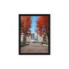 Chicago Autumn Path Framed Canvas