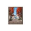 Chicago Autumn Path Framed Canvas