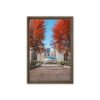 Chicago Autumn Path Framed Canvas