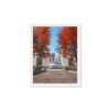 Chicago Autumn Path Framed Canvas