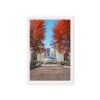 Chicago Autumn Path Framed Canvas