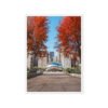 Chicago Autumn Path Framed Canvas