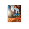 Chicago Autumn Glow Enhanced Matt Paper Poster