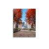 Chicago Autumn Cloud Gate Day Enhanced Matt Paper Poster