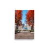 Chicago Autumn Cloud Gate Day Enhanced Matt Paper Poster