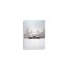 Chicago Snowy Cloud Gate Winter Enhanced Matt Paper Poster